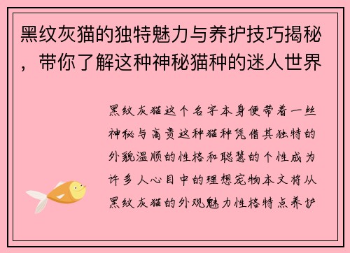 黑纹灰猫的独特魅力与养护技巧揭秘，带你了解这种神秘猫种的迷人世界